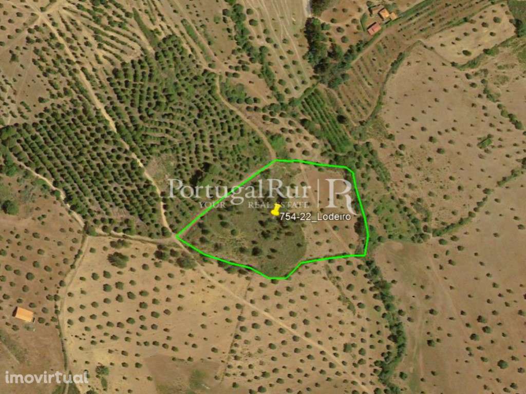 Terreno rústico com 13.900 m² em Monsanto - Grande imagem: 5/7