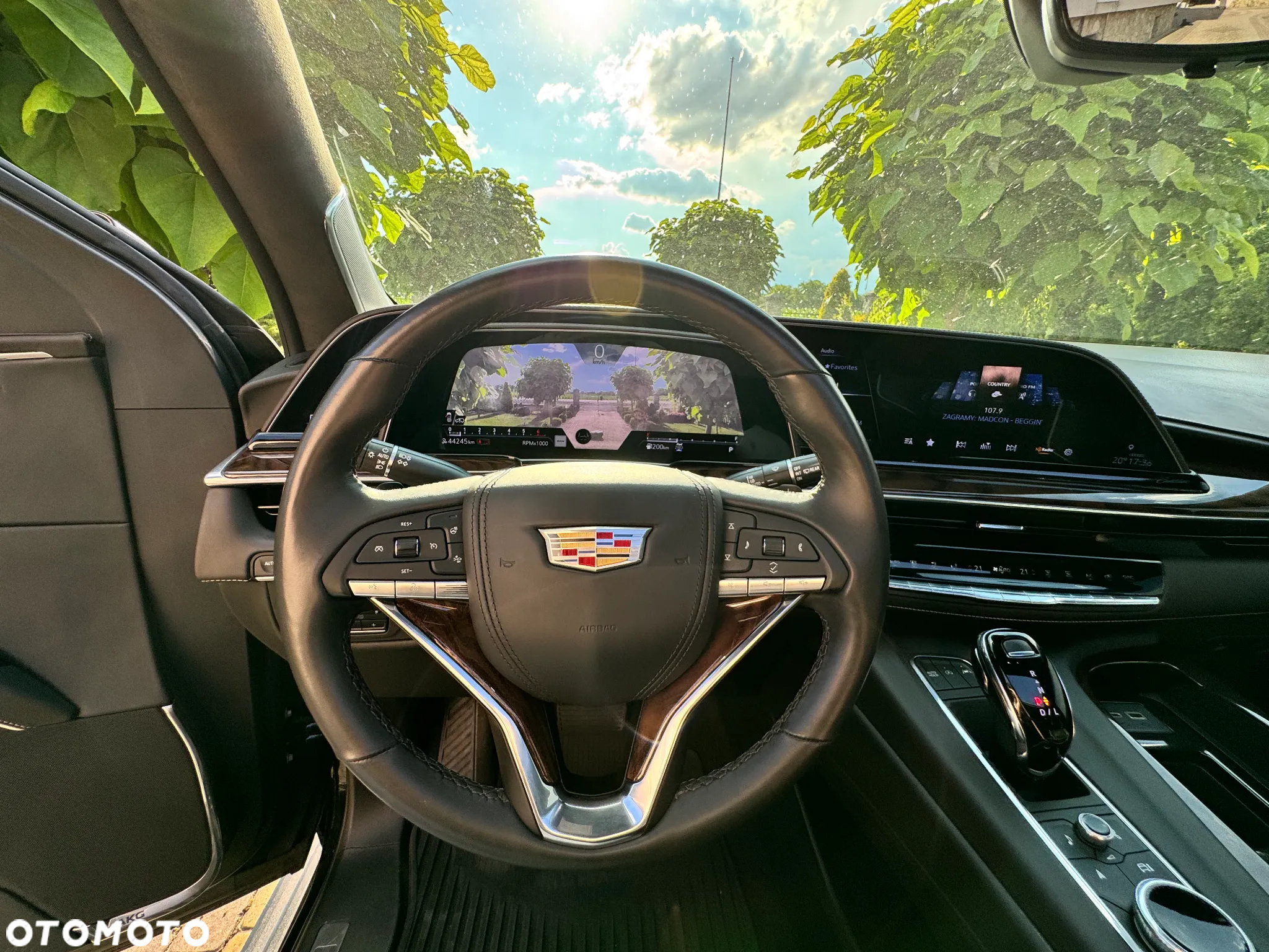 Cadillac Escalade - 19