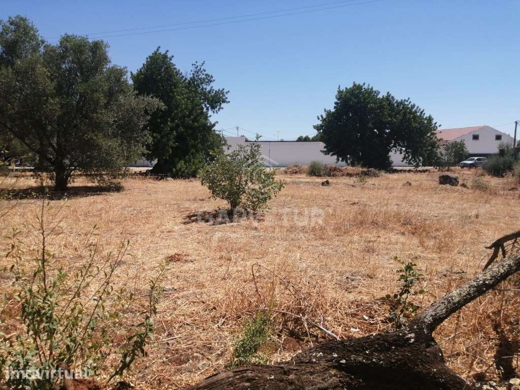 Terreno urbanizável no Concelho de S. Brás de Alportel, Algarve - Grande imagem: 2/18
