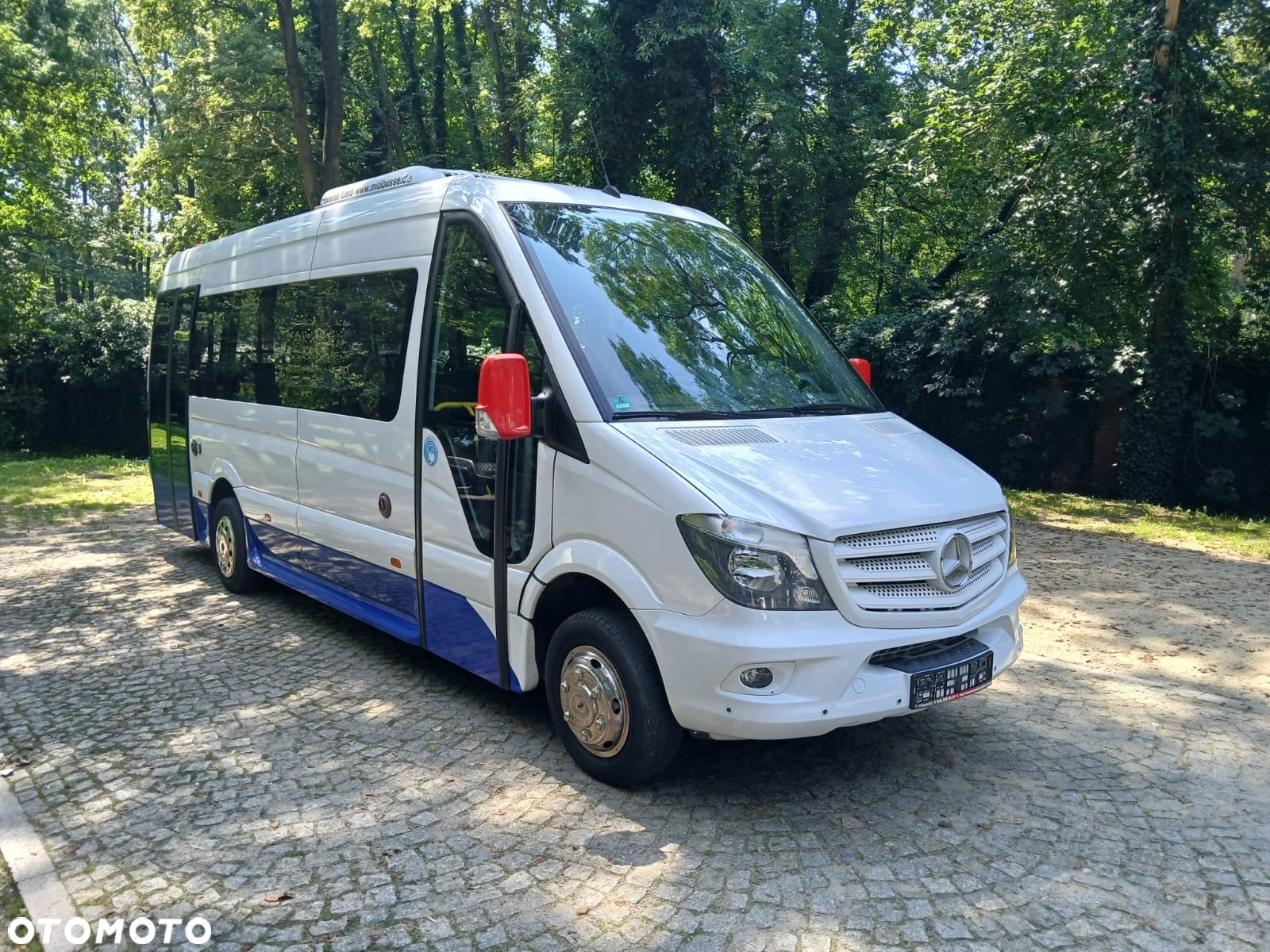 Mercedes-Benz 516 - 2