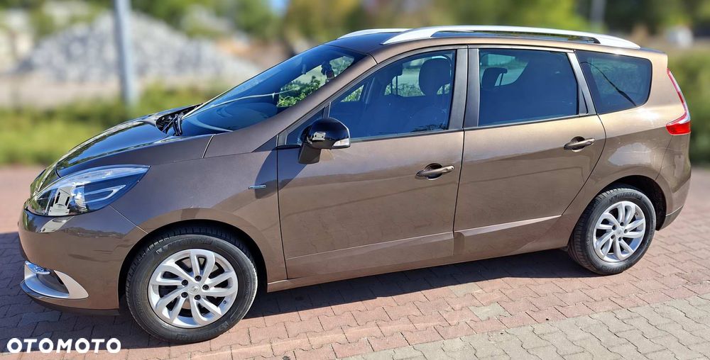 Renault Scenic 1.2 TCe Energy Limited - 18