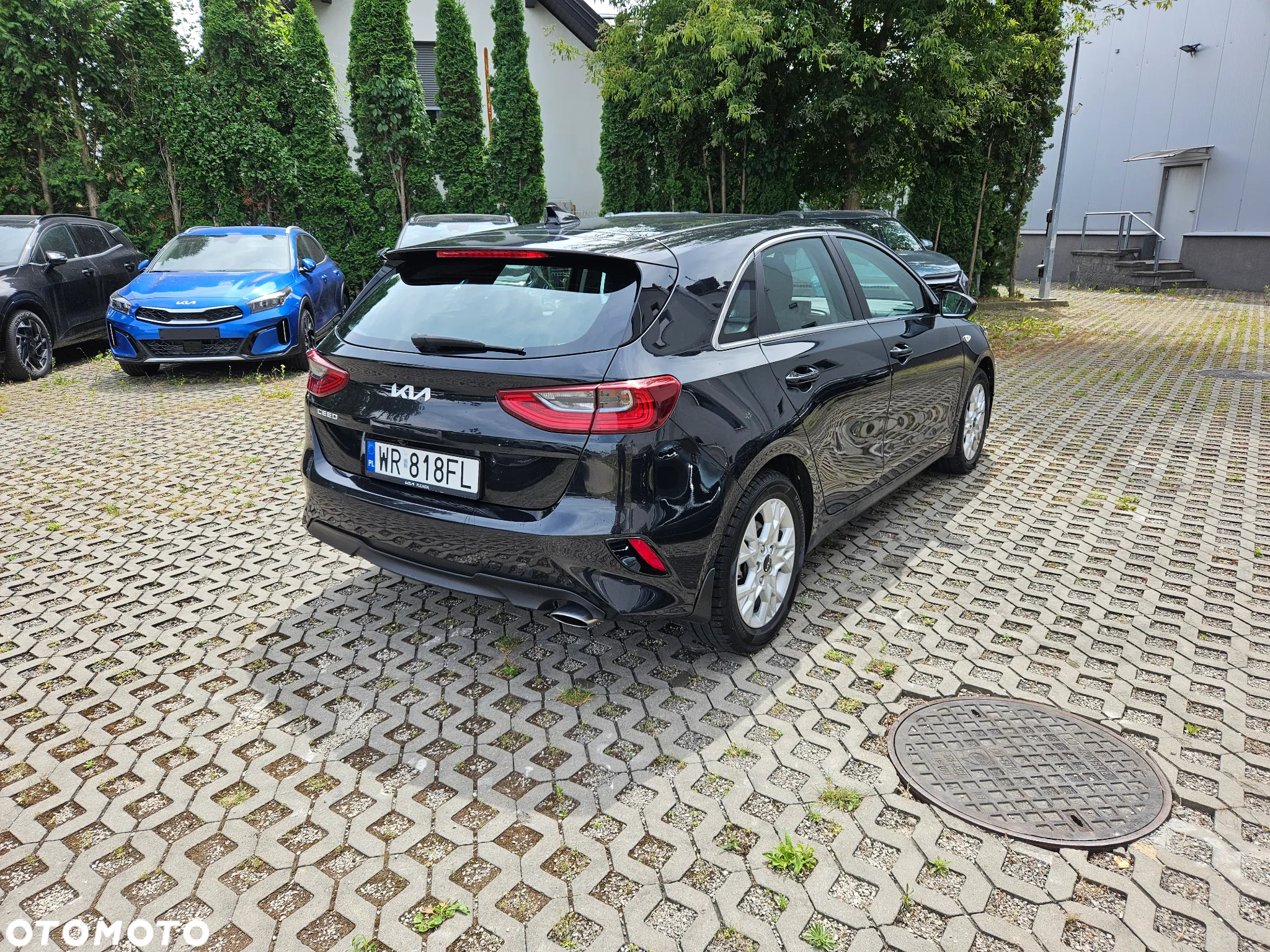 Kia Ceed 1.5 T-GDI M - 2
