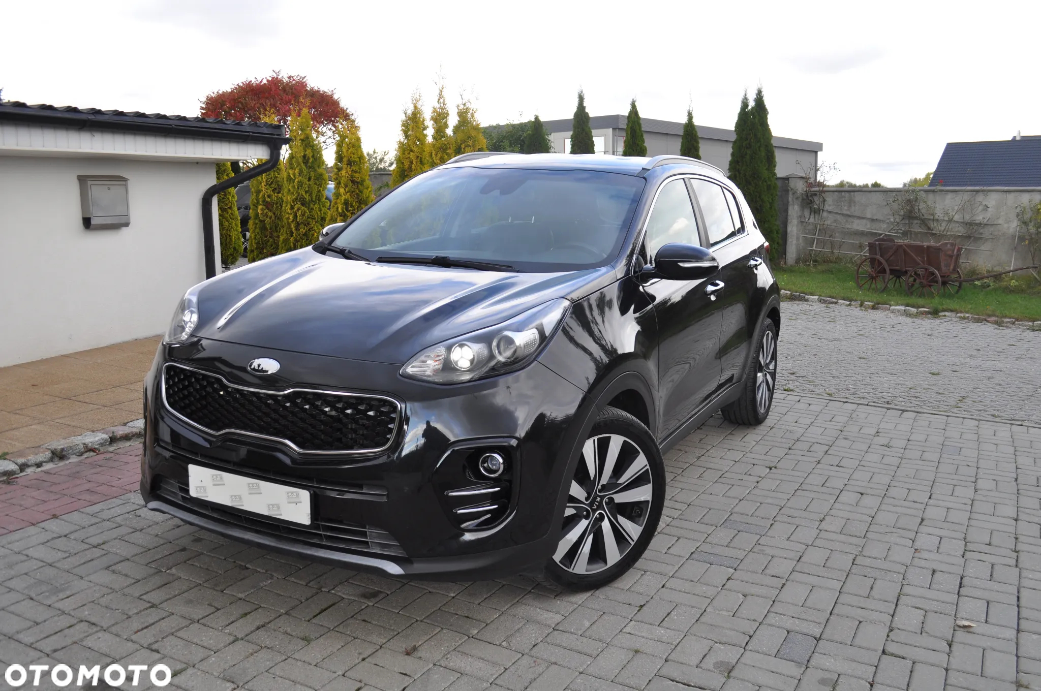 Kia Sportage 1.6 CRDI AWD Eco-Dynamics+ (48V M-H) DCT Black Edition - 3
