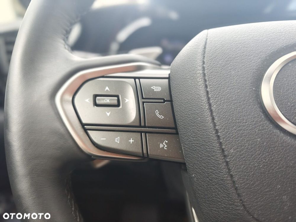 Lexus NX - 18