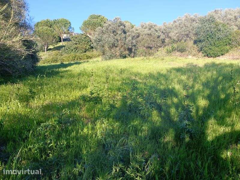 Quintinha , lote de terreno ,  monte , fazenda - Grande imagem: 3/8