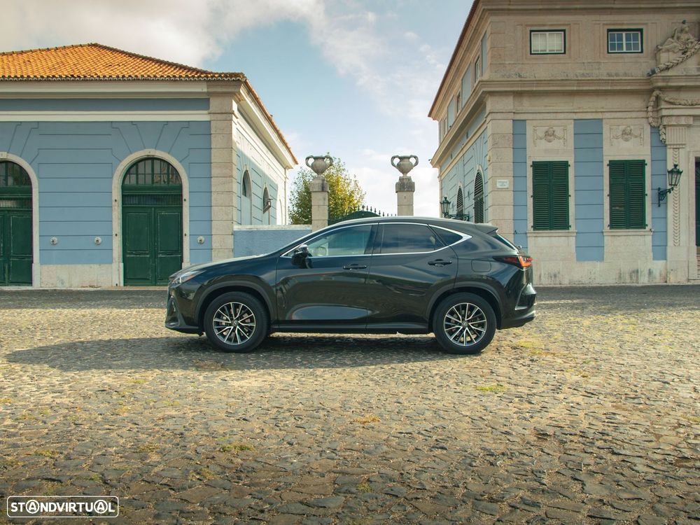 Lexus Nx 2023 photo 3
