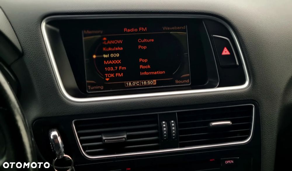 Audi Q5 - 19