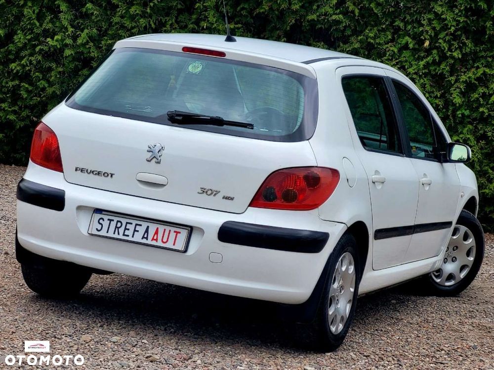 Peugeot 307 - 4