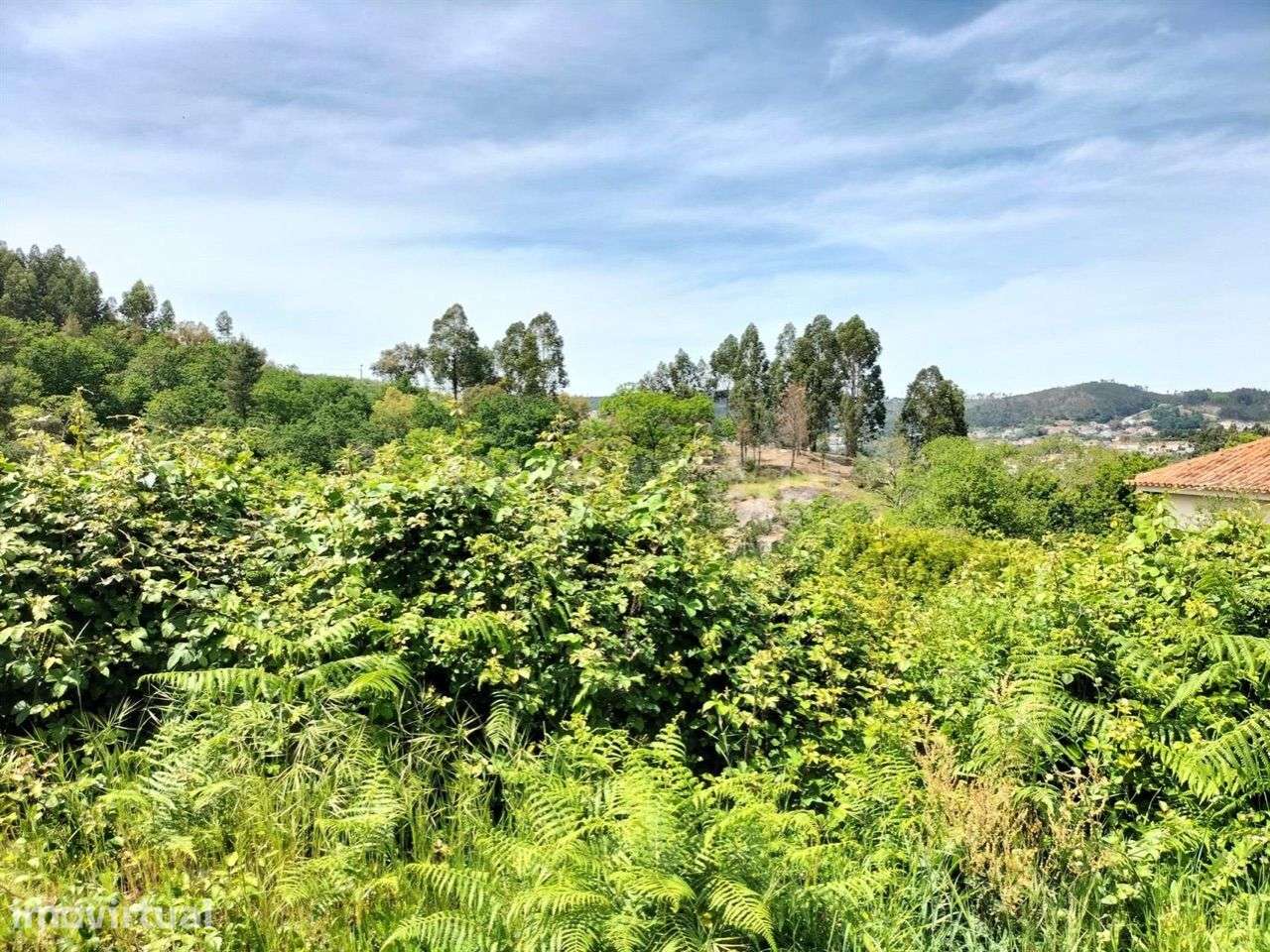Terreno para construção em Rebordosa, Paredes - Grande imagem: 3/8