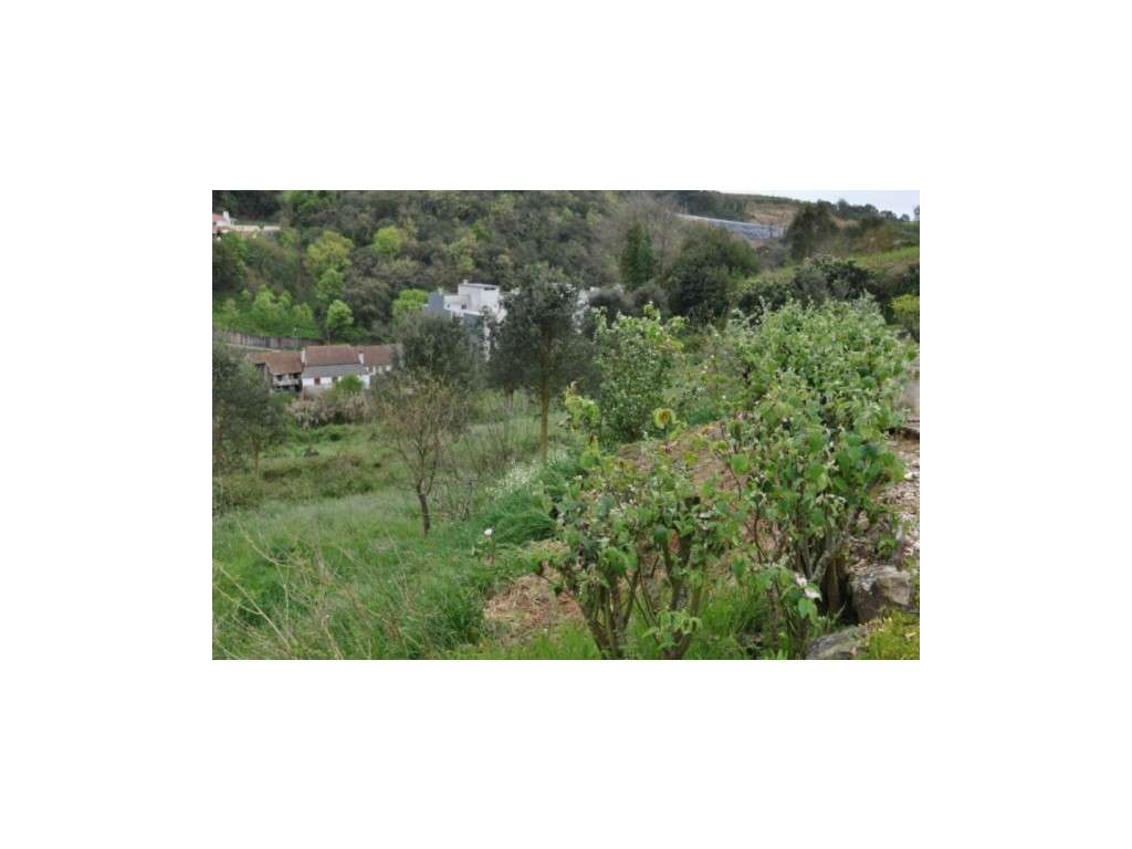 Terreno vista Mosteiro Alcobaça - Grande imagem: 3/3