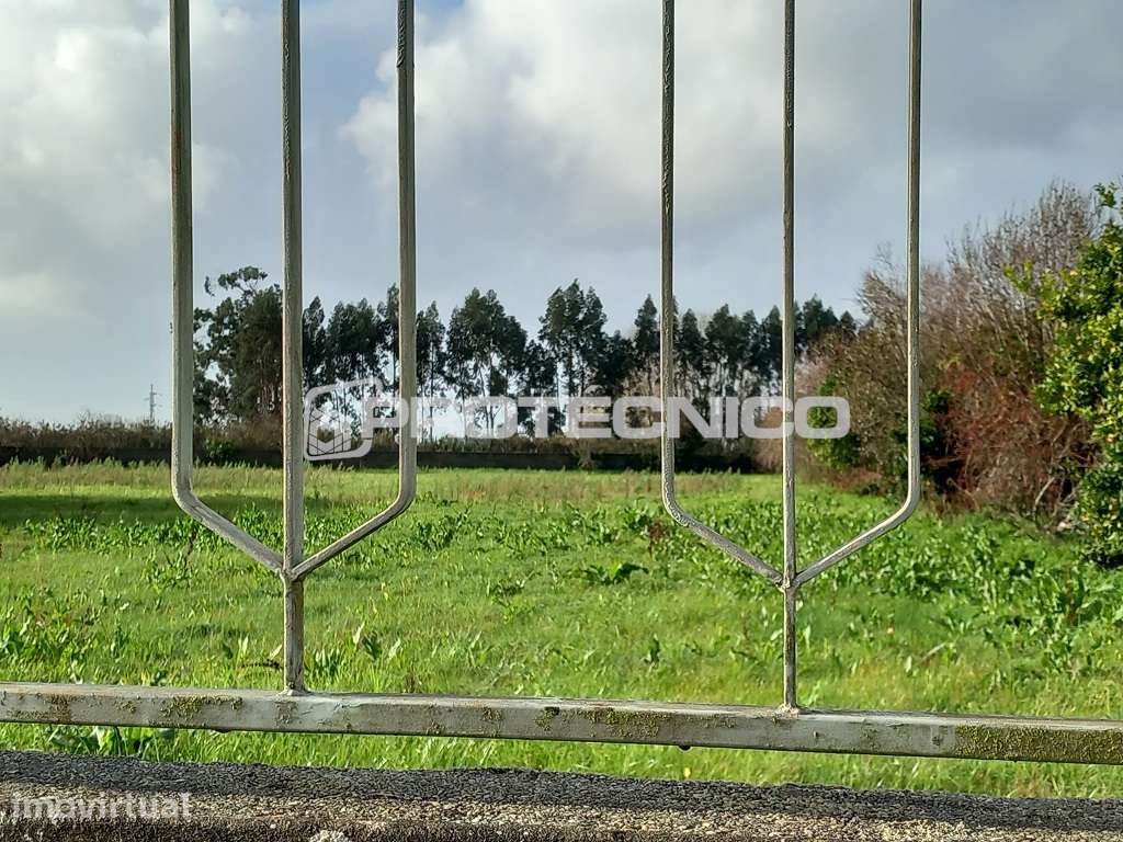 Terreno p/ Moradia Isolada Térrea - Ílhavo - Grande imagem: 3/11