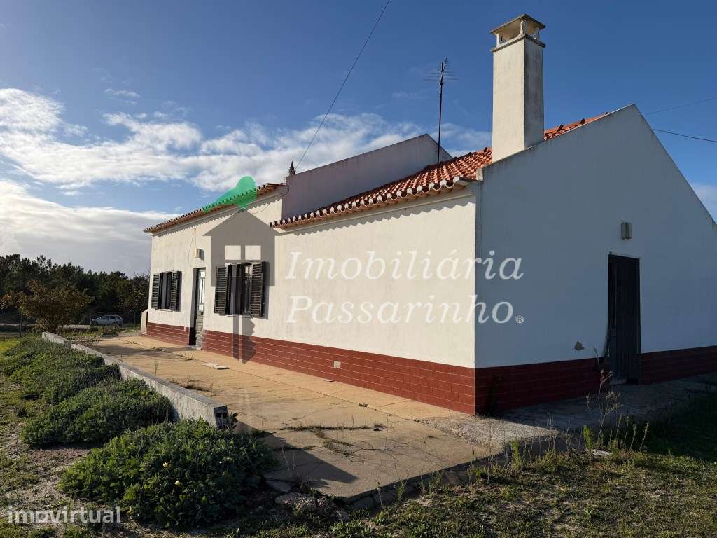 Herdade c/ habitação T2+2 - Aljezur - Grande imagem: 4/29