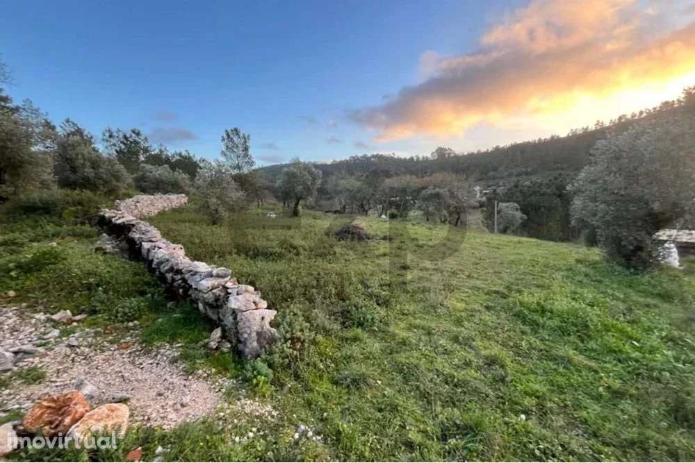 TERRENO DE 1440 m2 COM PROJETO EM ALQUEIDÃO DA SERRA. PORTO DE MÓS - Grande imagem: 4/26