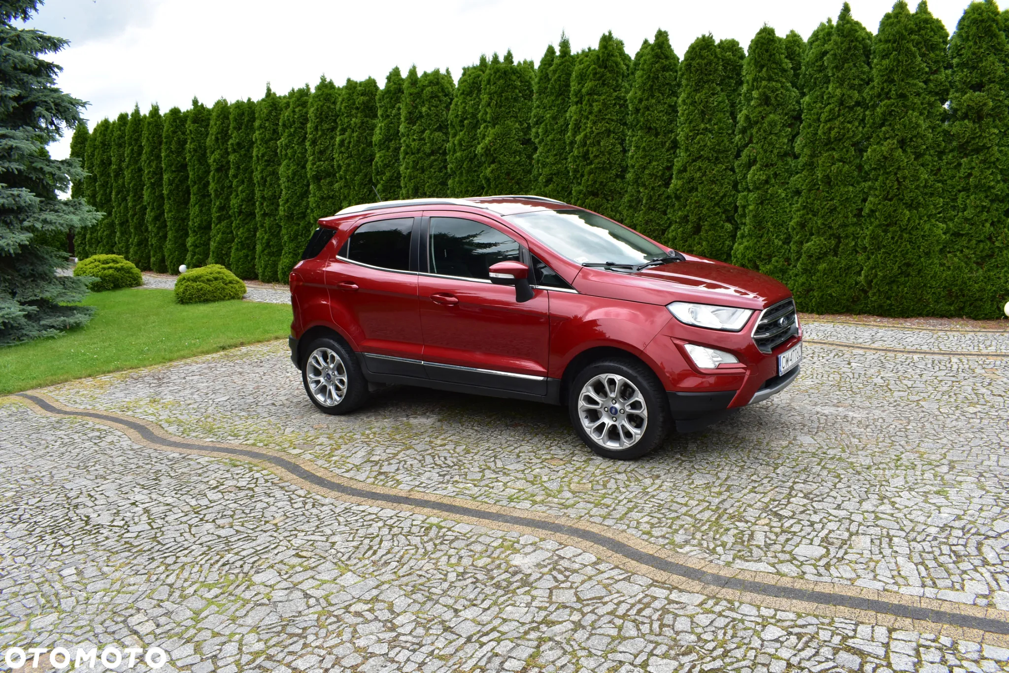 Ford EcoSport 1.0 EcoBoost GPF Titanium ASS - 5