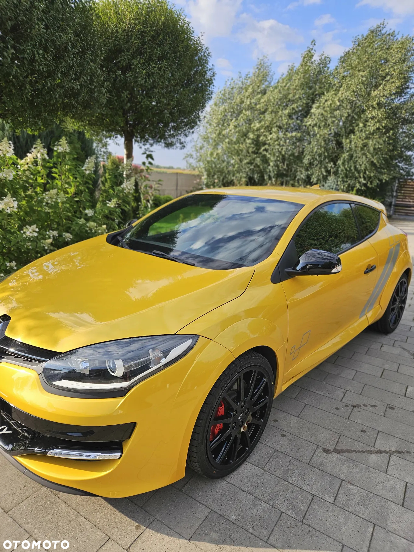 Renault Megane R.S SL Trophy - 6