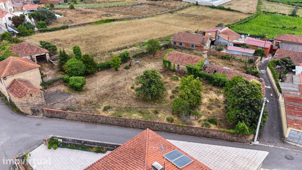 Terreno com 1350m2 e 42m de Frente na Branca – Ideal para 3 Moradias o - Grande imagem: 3/7