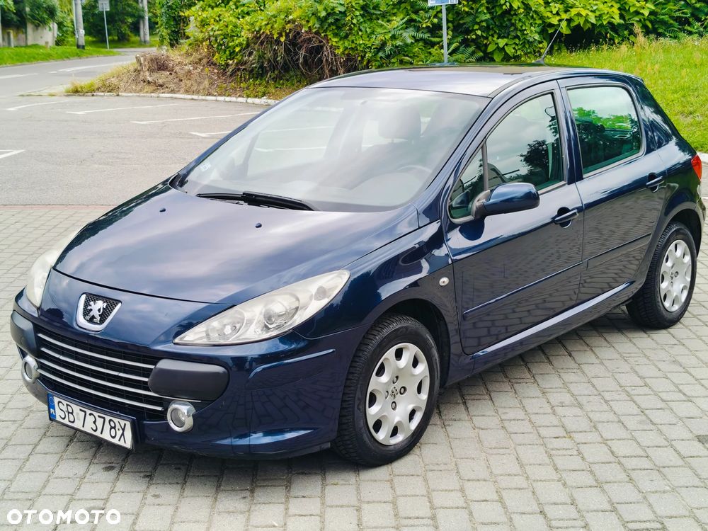 Peugeot 307 HDi 90 Grand Filou Cool - 12