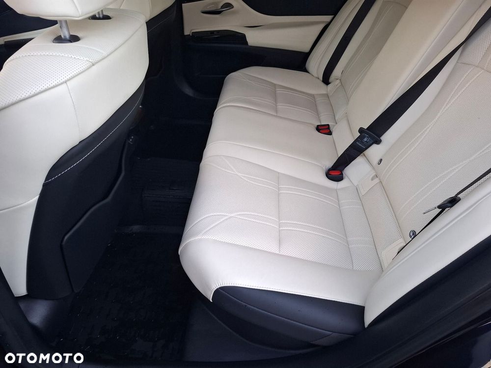 Lexus ES 300h Omotenashi - 18