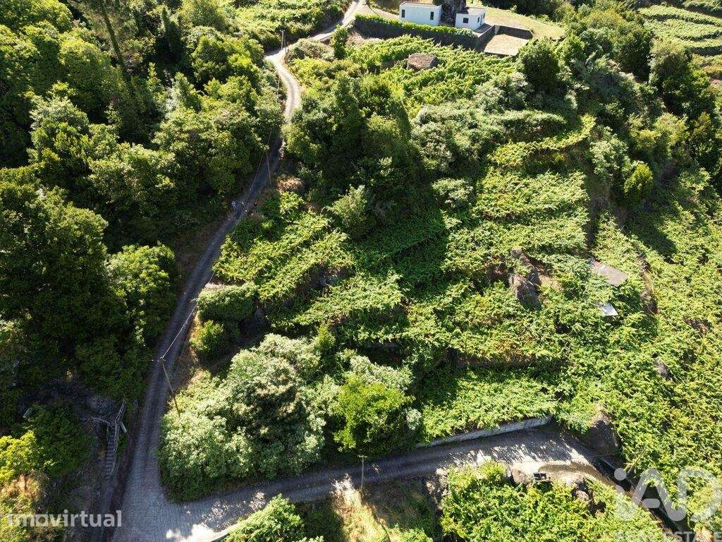 Terreno Agrícola em São Vicente - Grande imagem: 5/9