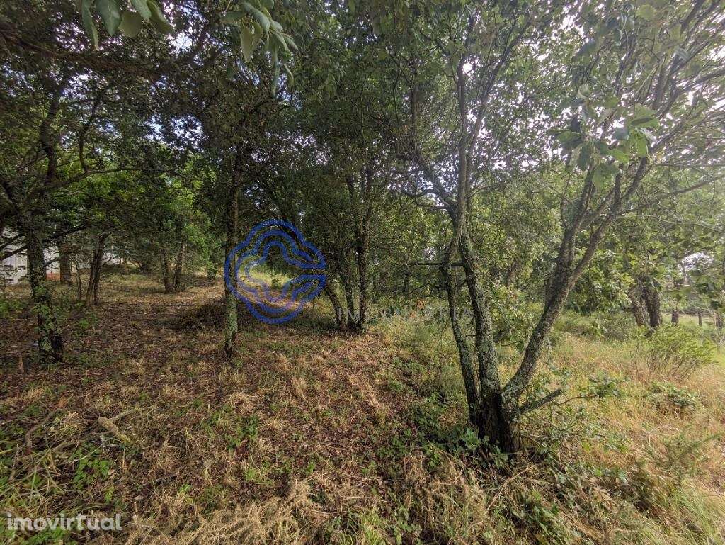 Terreno para construção - Grande imagem: 5/15