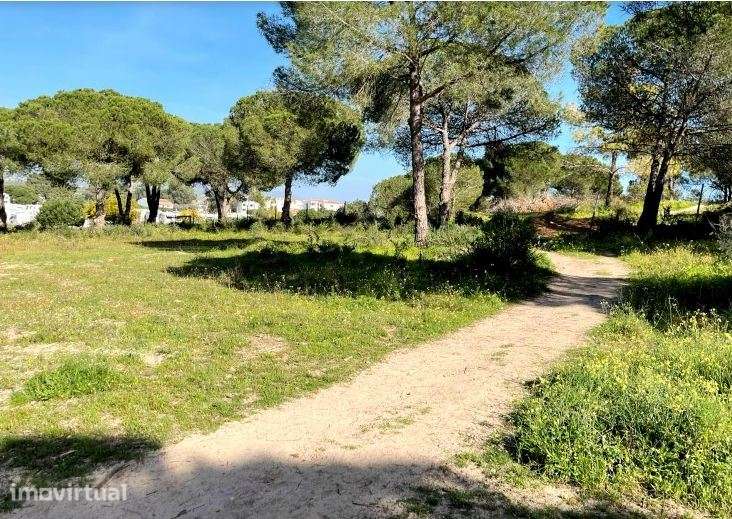 Terreno Misto com 10,4 hectares em Vale Carro de Baixo, Albufeira. - Grande imagem: 5/10