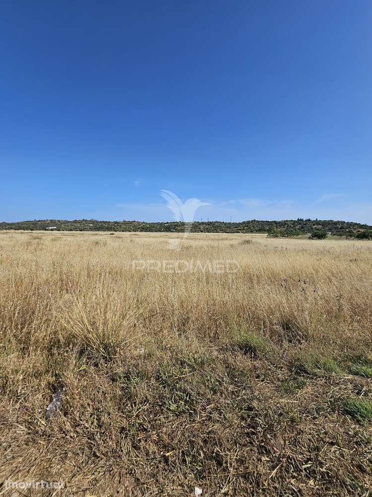 Terreno Rustico com 8980 m2 situado  em Tunes - Grande imagem: 3/8