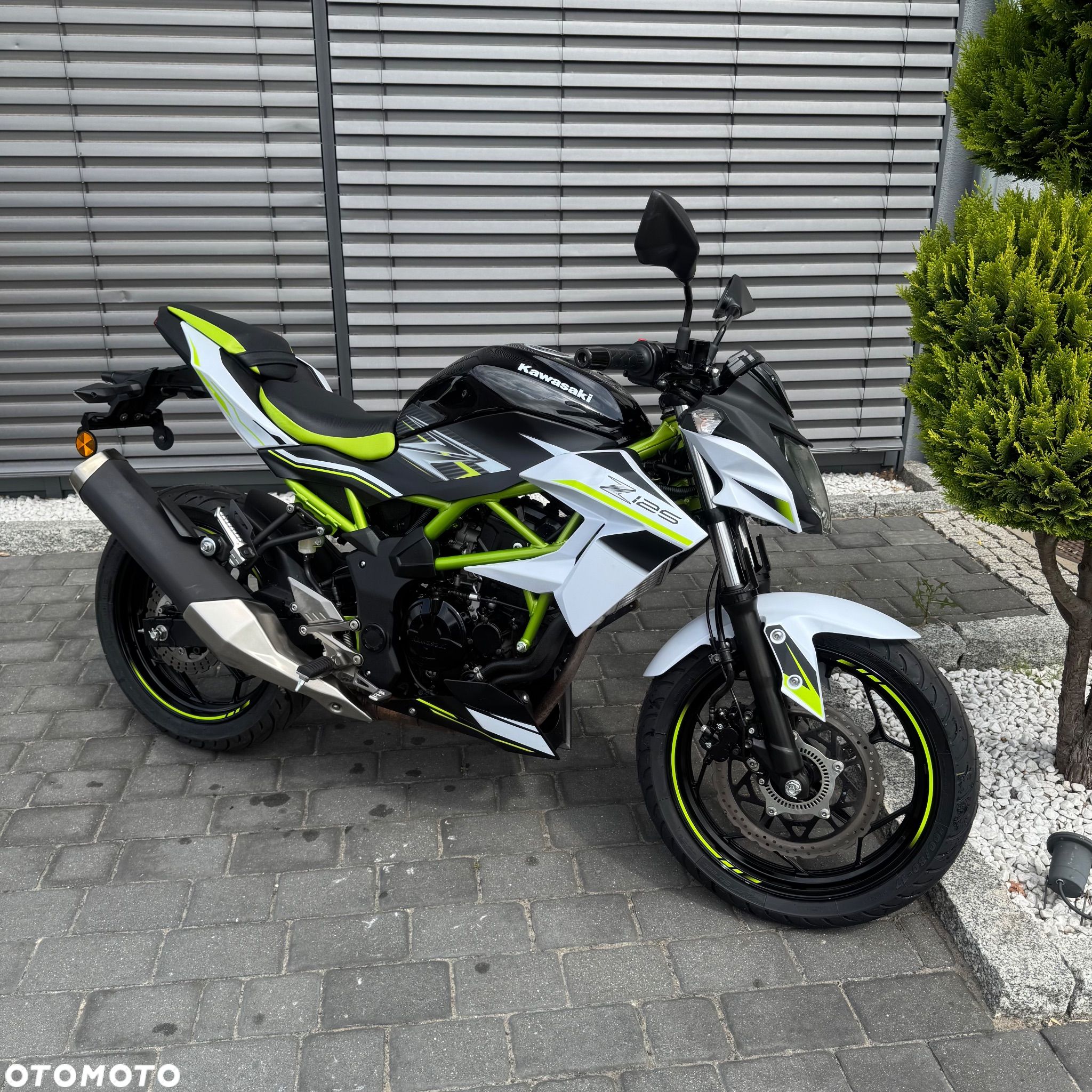 Kawasaki Z - 1