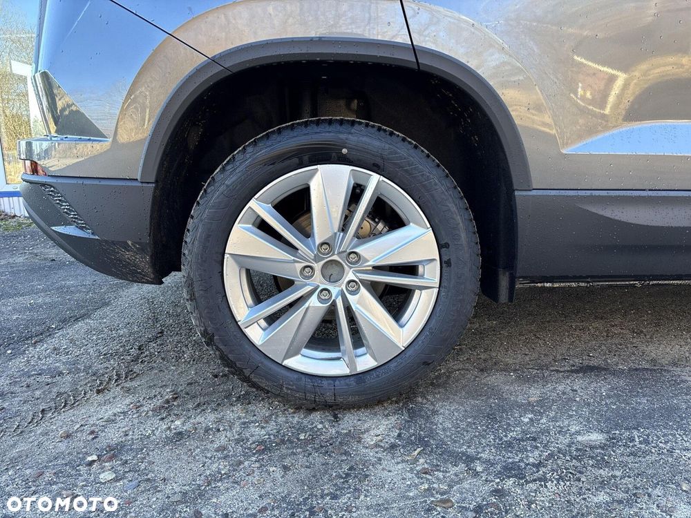 Skoda Karoq 2.0 TDI SCR 4x2 Edition 130 DSG - 19