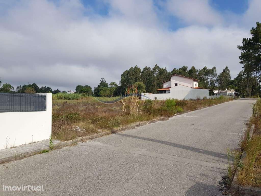 Lote de Terreno - Amor - Grande imagem: 4/13