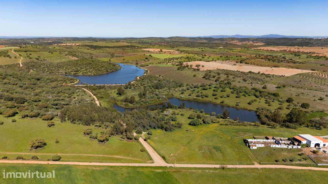 Terreno no concelho de Reguengos de Monsaraz com Projeto de arquitetur - Grande imagem: 2/11