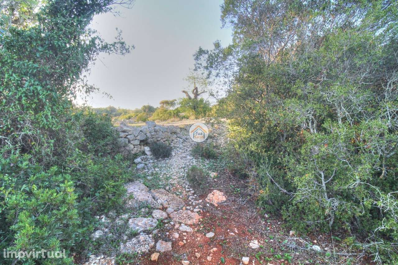 Terreno Rústico Benatrite - Faro 1480 M2 - Grande imagem: 4/31