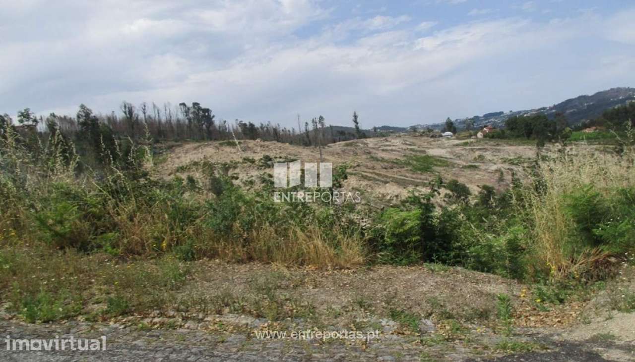 Venda Terreno, Oliveira, Amarante - Grande imagem: 4/12