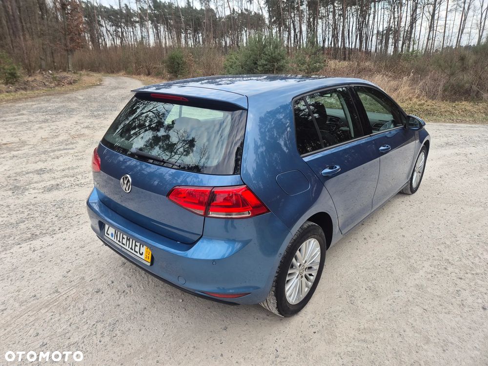 Volkswagen Golf - 22