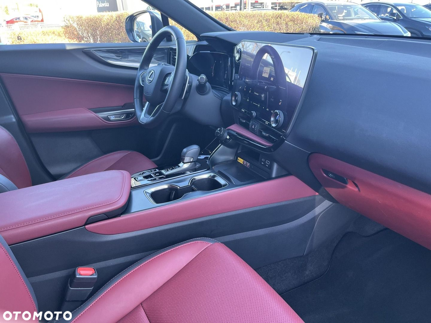 Lexus NX - 10