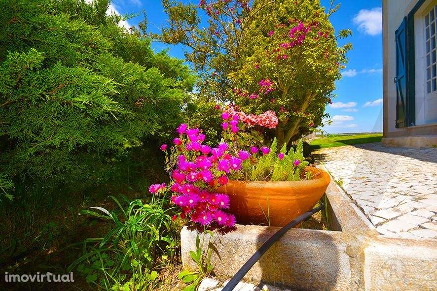 Quinta Parque Natural Arrábida - Grande imagem: 4/47