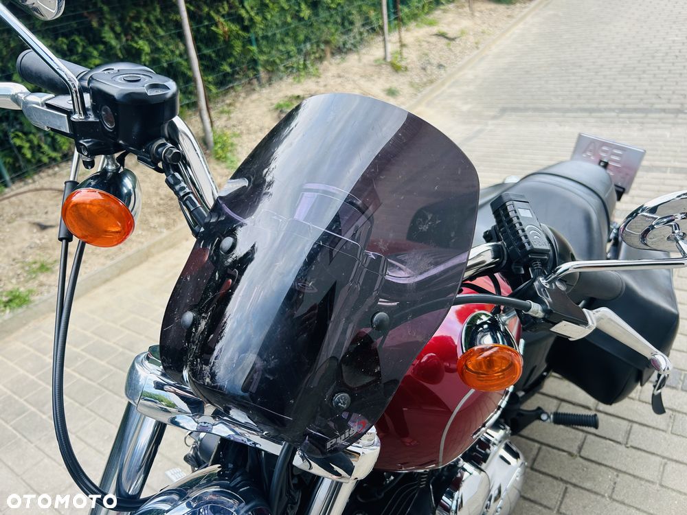 Harley-Davidson Sportster Custom 1200C - 10