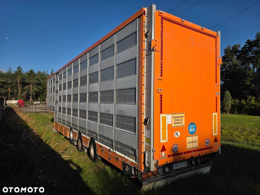 Pezzaioli SBA31 - 11