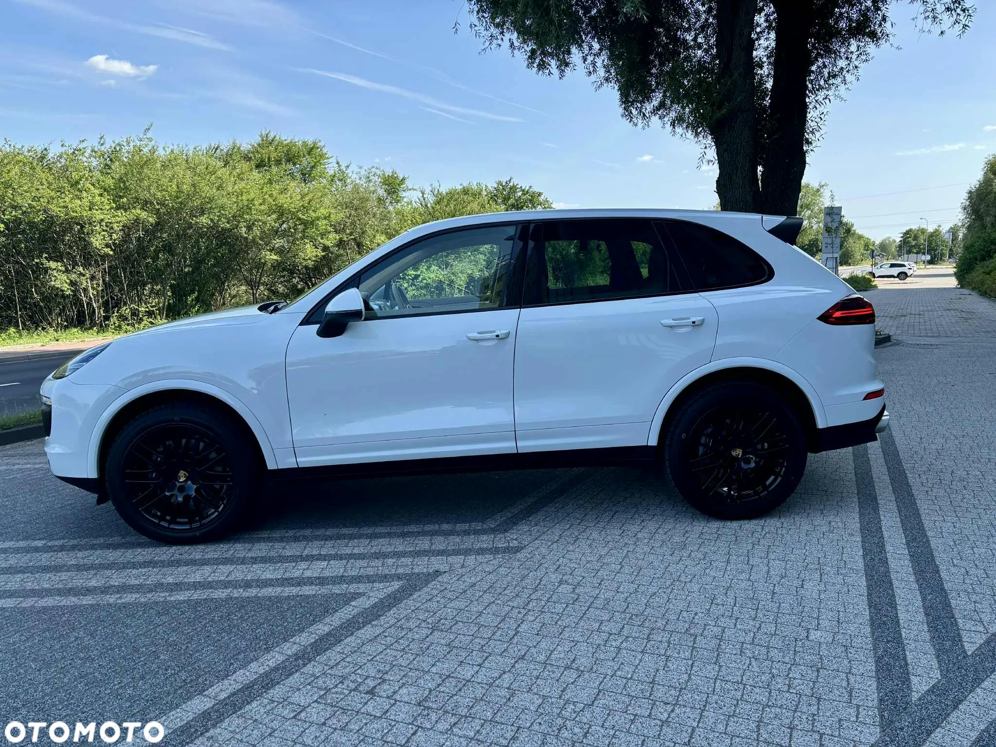 Porsche Cayenne Platinum Edition - 2