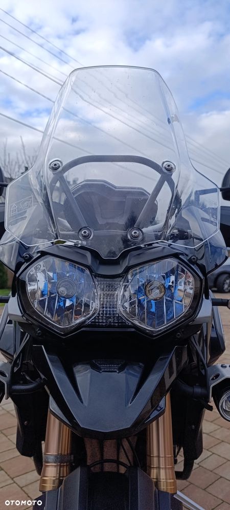 Triumph Tiger - 17