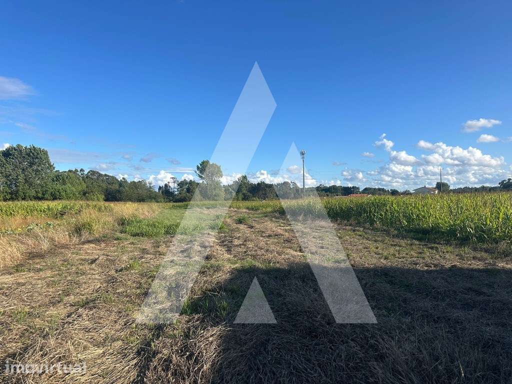 Terreno em Águas Boas - Grande imagem: 5/8