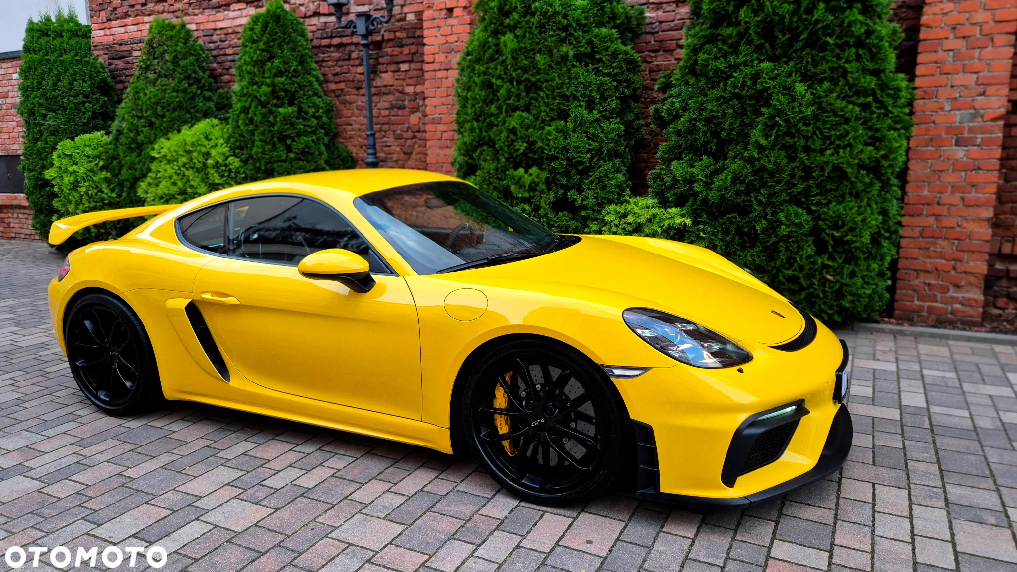Porsche 718 Cayman GPF GT4 - 9