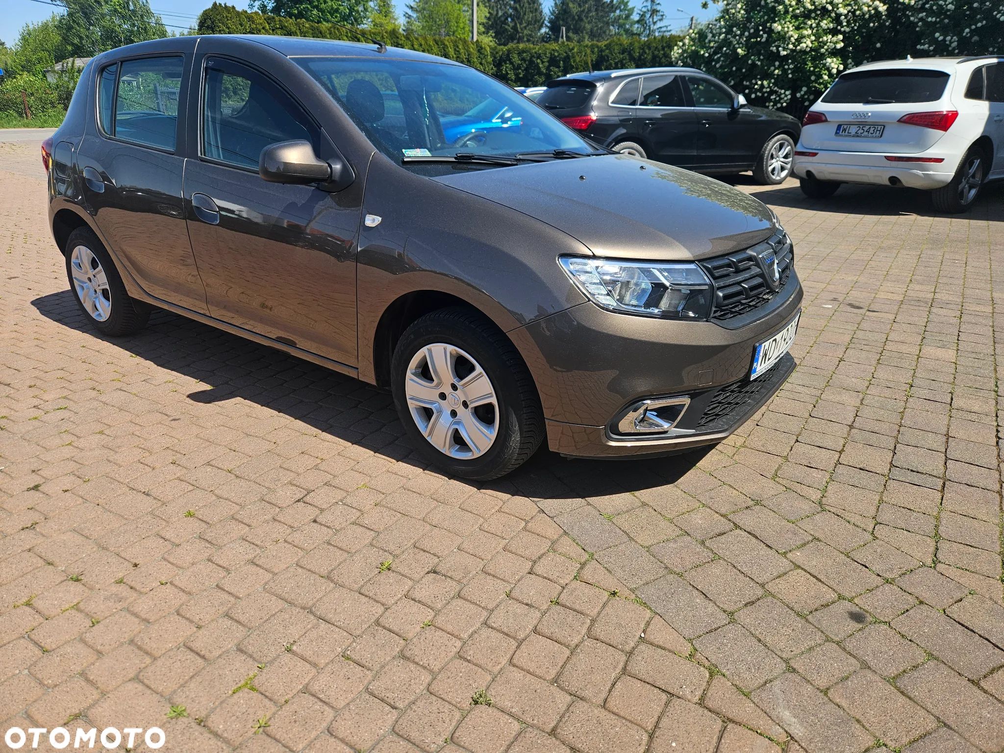 Dacia Sandero - 1