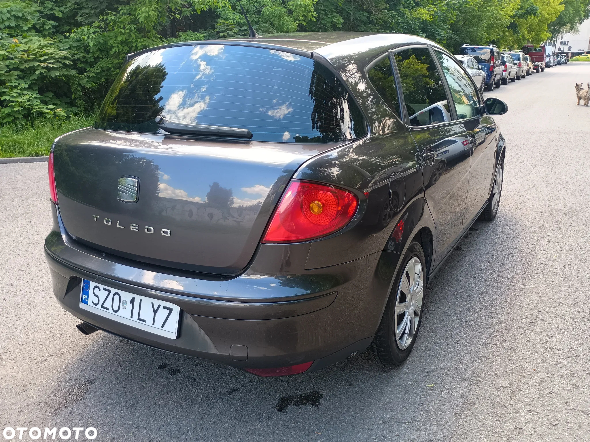 Seat Toledo 1.6 Audience - 7