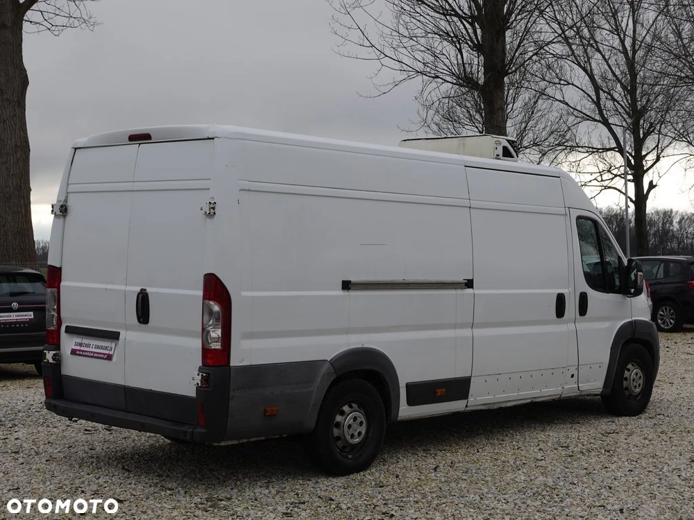 Peugeot Boxer Maxi - Chłodnia - 10