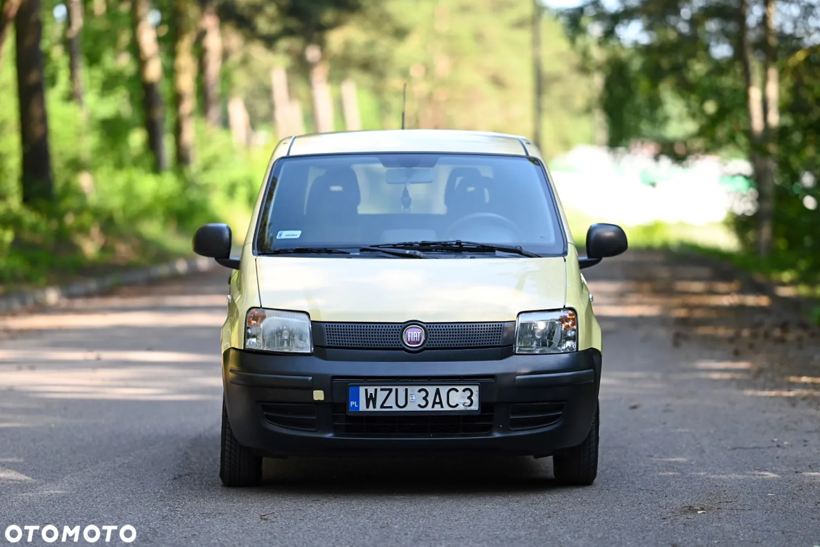 Fiat Panda - 2