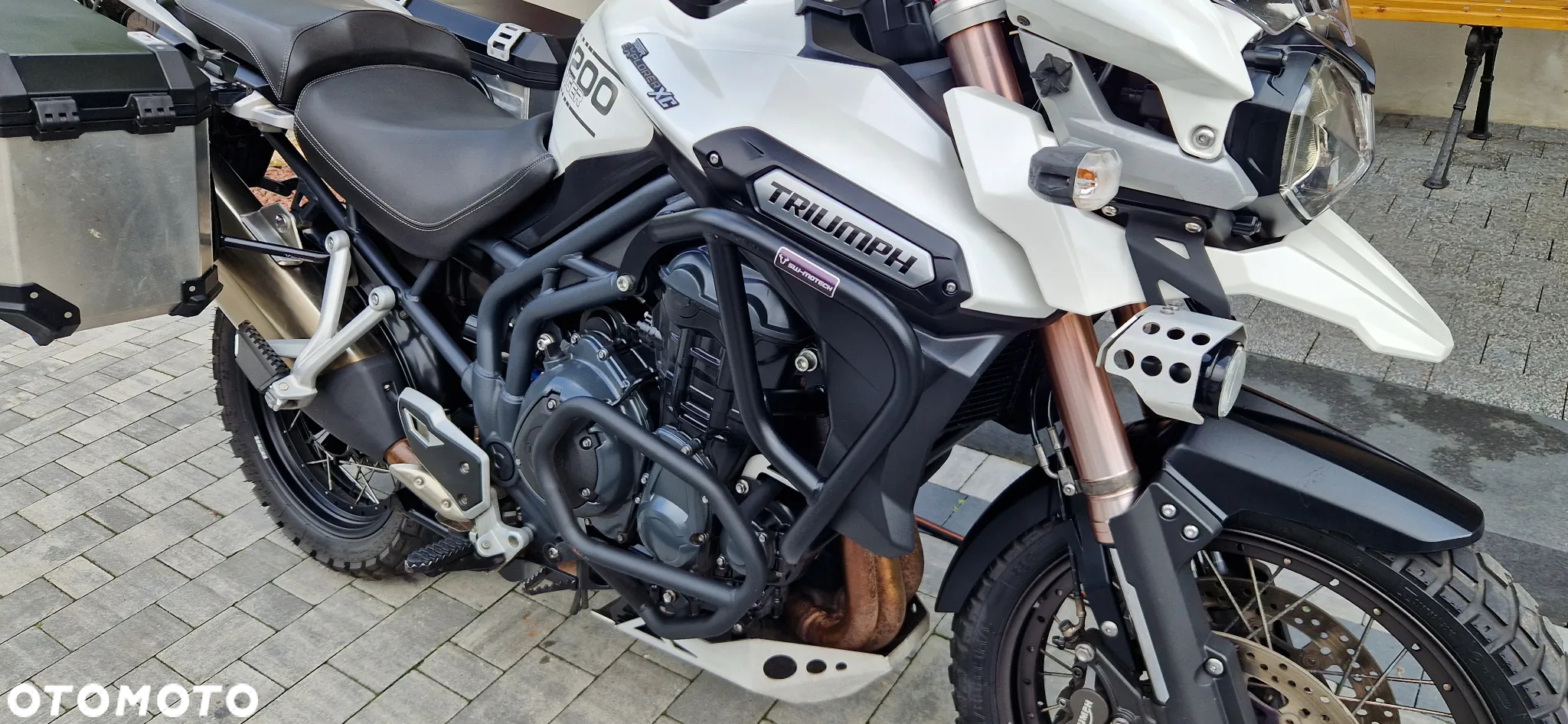 Triumph Tiger - 3