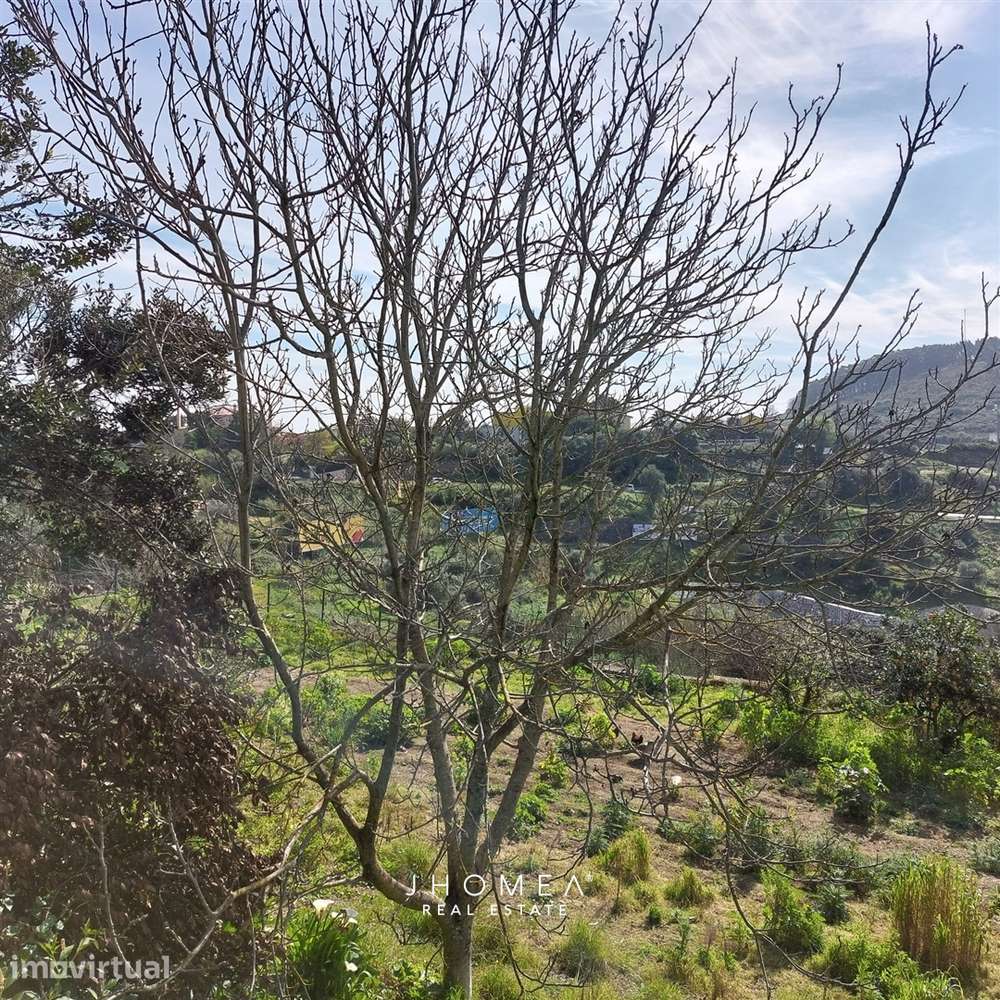 Terreno Rústico com 1,952 ha, Caneças, Odivelas - Grande imagem: 2/24