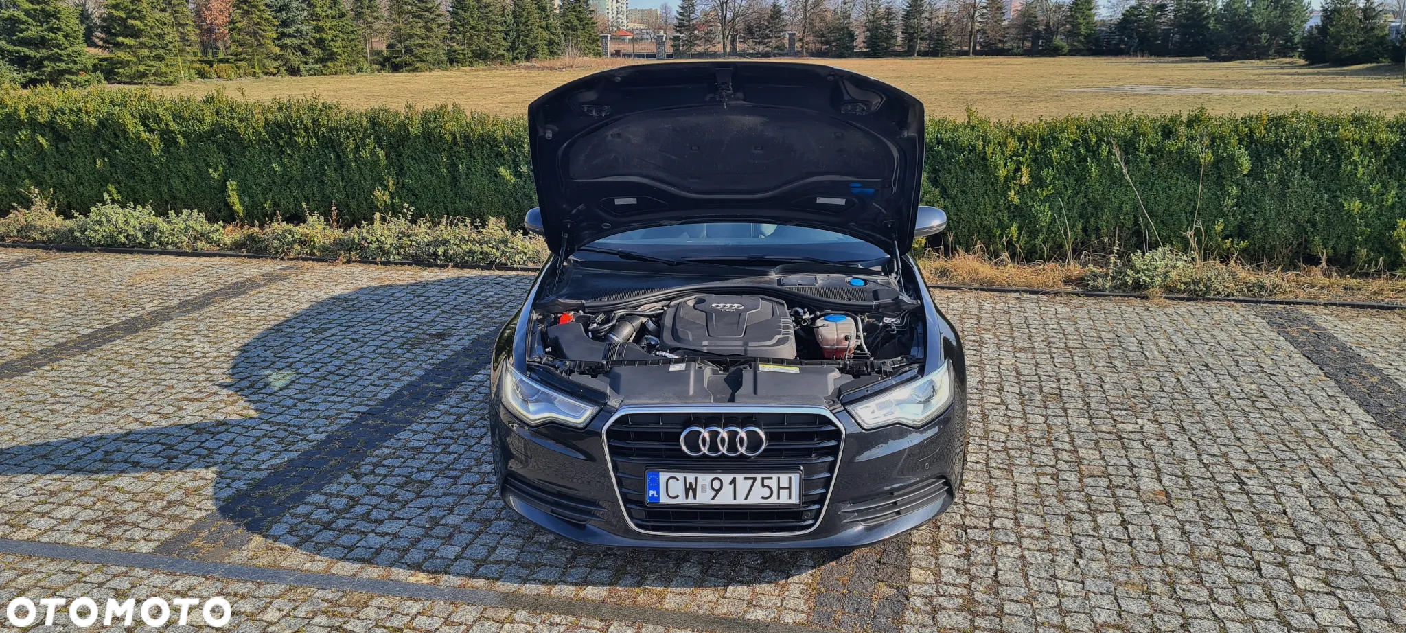 Audi A6 2.0 TDI ultra S tronic - 37