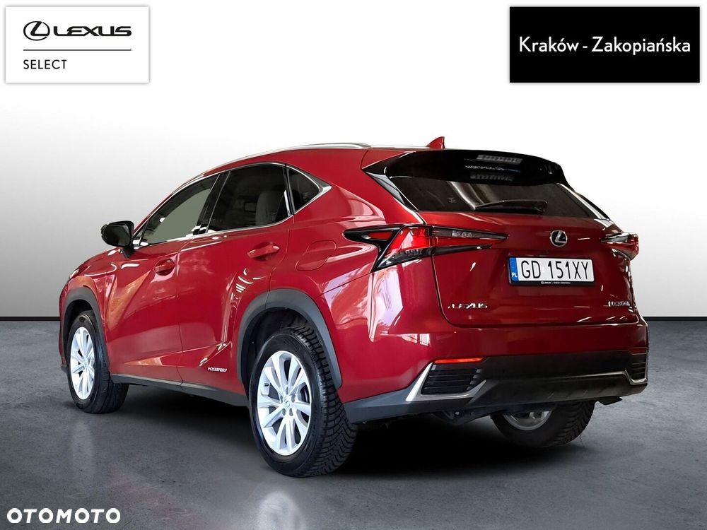 Lexus NX 300h F Impression AWD - 8