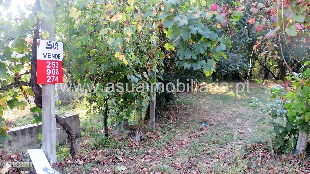 Terreno Agrícola - Goães - Grande imagem: 2/7